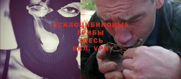 индика Алексеевка
