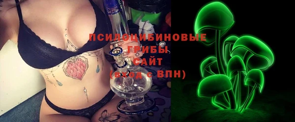 индика Алексеевка
