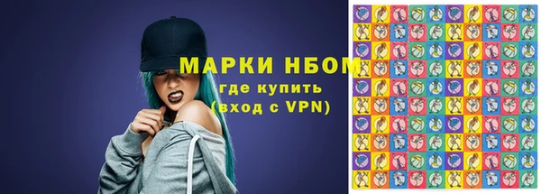 прущие грибы Алзамай