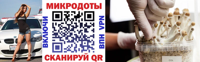 Псилоцибиновые грибы GOLDEN TEACHER  Змеиногорск 