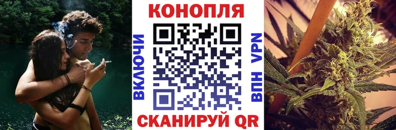 где найти   блэк спрут ссылка  Канабис SATIVA & INDICA  Змеиногорск 